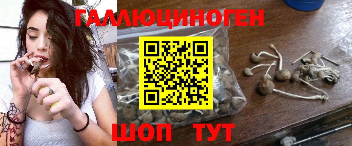 Псилоцибиновые грибы Magic Shrooms Ленинск-Кузнецкий