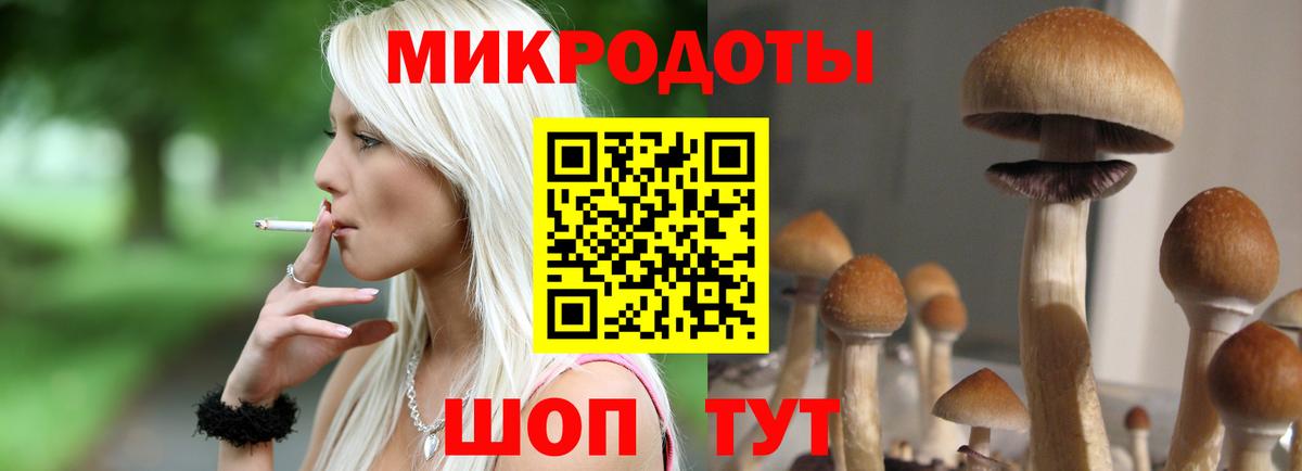 Галлюциногенные грибы Magic Shrooms  купить наркоту  Ленинск-Кузнецкий  Вход с VPN 