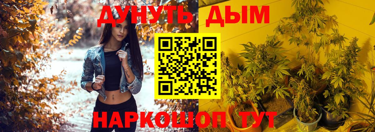 Бошки Шишки тримм Ленинск-Кузнецкий